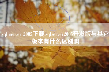 sql server 2005下载,sqlserver2005开发版与其它版本有什么区别啊