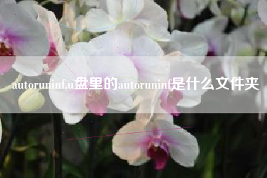 autoruninf,u盘里的autoruninf是什么文件夹