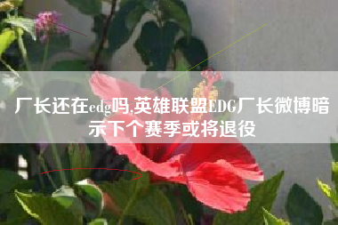 厂长还在edg吗,英雄联盟EDG厂长微博暗示下个赛季或将退役