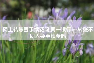 网上转账要手续费吗,同一银行app转账不同人要手续费吗