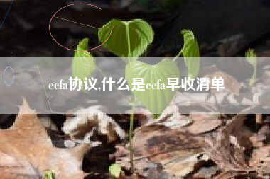 ecfa协议,什么是ecfa早收清单