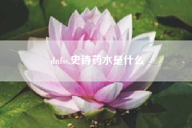 dnfss,史诗药水是什么