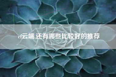 cf云端,还有哪些比较好的推荐