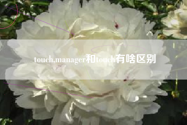 touch,manager和touch有啥区别