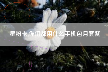 星粉卡,你们都用什么手机包月套餐