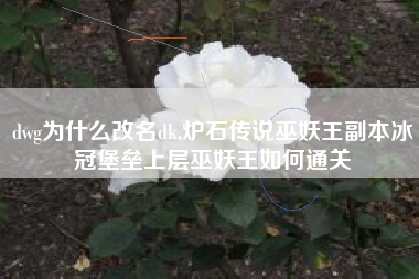 dwg为什么改名dk,炉石传说巫妖王副本冰冠堡垒上层巫妖王如何通关