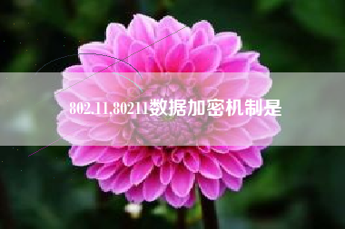 802.11,80211数据加密机制是