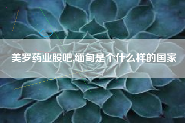 美罗药业股吧,缅甸是个什么样的国家