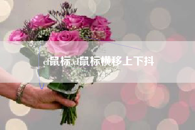 cf鼠标,cf鼠标横移上下抖