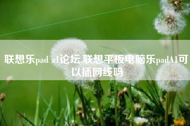 联想乐pad a1论坛,联想平板电脑乐padA1可以插网线吗