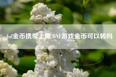 dnf金币携带上限,DNF游戏金币可以转吗