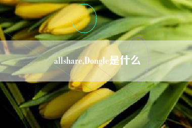 allshare,Dongle是什么