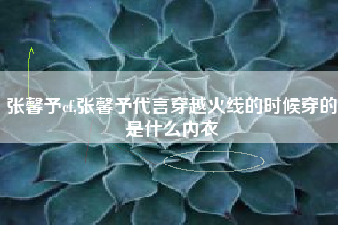 张馨予cf,张馨予代言穿越火线的时候穿的是什么内衣