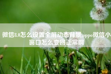 微信8.0怎么设置全屏动态背景,oppo微信小窗口怎么变回正常啊