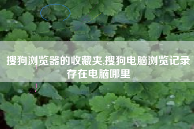 搜狗浏览器的收藏夹,搜狗电脑浏览记录存在电脑哪里