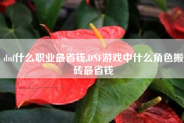 dnf什么职业最省钱,DNF游戏中什么角色搬砖最省钱