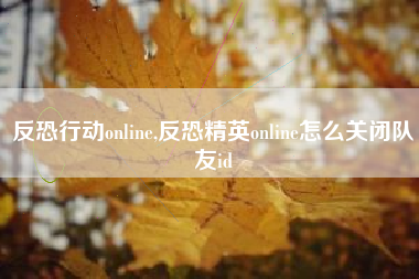 反恐行动online,反恐精英online怎么关闭队友id