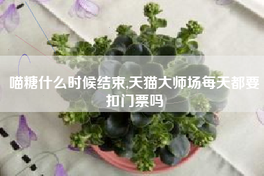 喵糖什么时候结束,天猫大师场每天都要扣门票吗