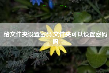 给文件夹设置密码,文件夹可以设置密码吗