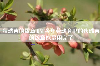 狄瑞吉的纹章,DNF今年劳动套里的狄瑞吉的纹章能量用完了