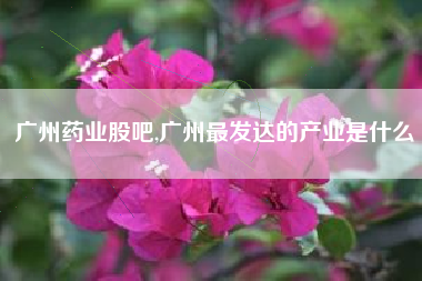 广州药业股吧,广州最发达的产业是什么