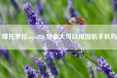 摩托罗拉mpx220,加拿大可以用国航手机吗