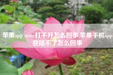 苹果app store打不开怎么回事,苹果手机app登陆不了怎么回事