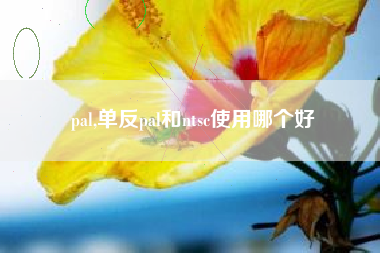 pal,单反pal和ntsc使用哪个好