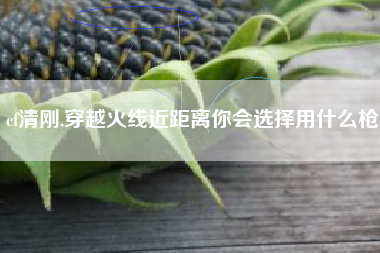 cf清刚,穿越火线近距离你会选择用什么枪