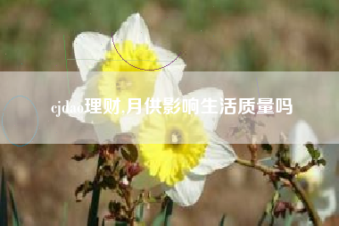 cjdao理财,月供影响生活质量吗