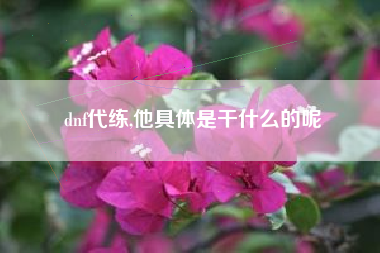 dnf代练,他具体是干什么的呢