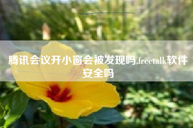 腾讯会议开小窗会被发现吗,freetalk软件安全吗