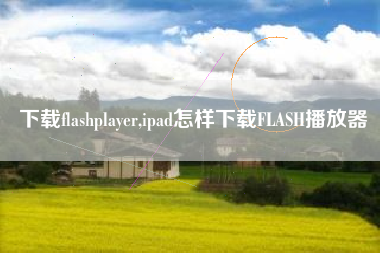 下载flashplayer,ipad怎样下载FLASH播放器