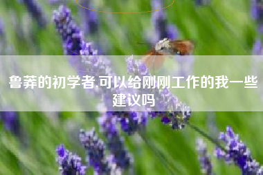 鲁莽的初学者,可以给刚刚工作的我一些建议吗