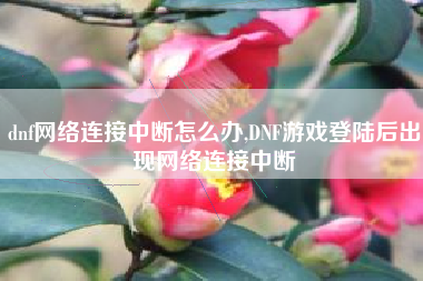 dnf网络连接中断怎么办,DNF游戏登陆后出现网络连接中断