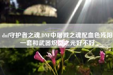 dnf守护者之魂,DNF中屠戮之魂配血色残阳一套和武器炽炎之光好不好