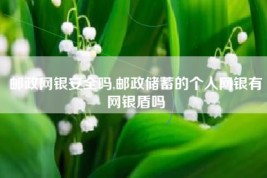 邮政网银安全吗,邮政储蓄的个人网银有网银盾吗