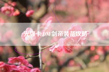 光强卡,DNF剑帝装备攻略