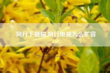 风行下载慢,风行电视怎么扩容