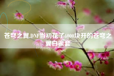 苍穹之翼,DNF当初花了6000块开的苍穹之翼白银套