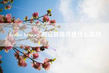 firefox browser,浏览器插件是什么意思