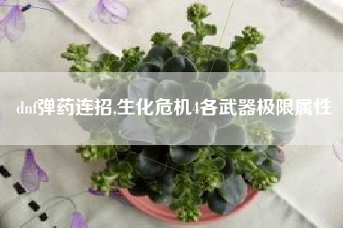 dnf弹药连招,生化危机4各武器极限属性