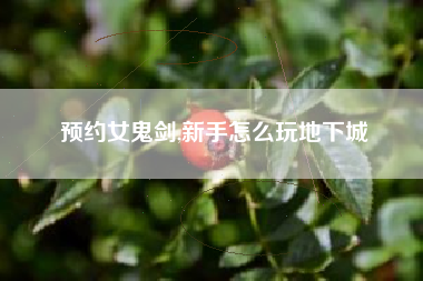 预约女鬼剑,新手怎么玩地下城