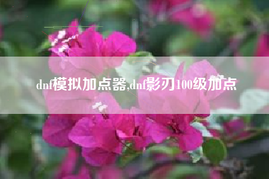 dnf模拟加点器,dnf影刃100级加点