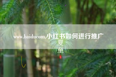 www.baiducom,小红书如何进行推广