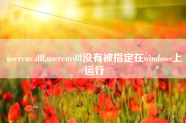 userenv.dll,userenvdll没有被指定在windows上运行