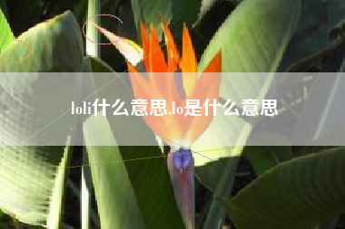 loli什么意思,lo是什么意思