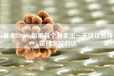 基金530008,如果每个月拿出一千块钱选择银行定投的话