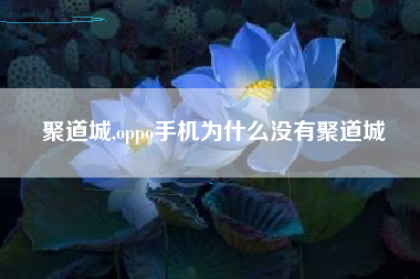 聚道城,oppo手机为什么没有聚道城