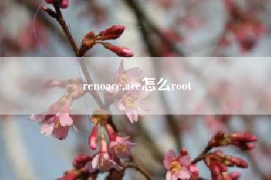 renoace,ace怎么root